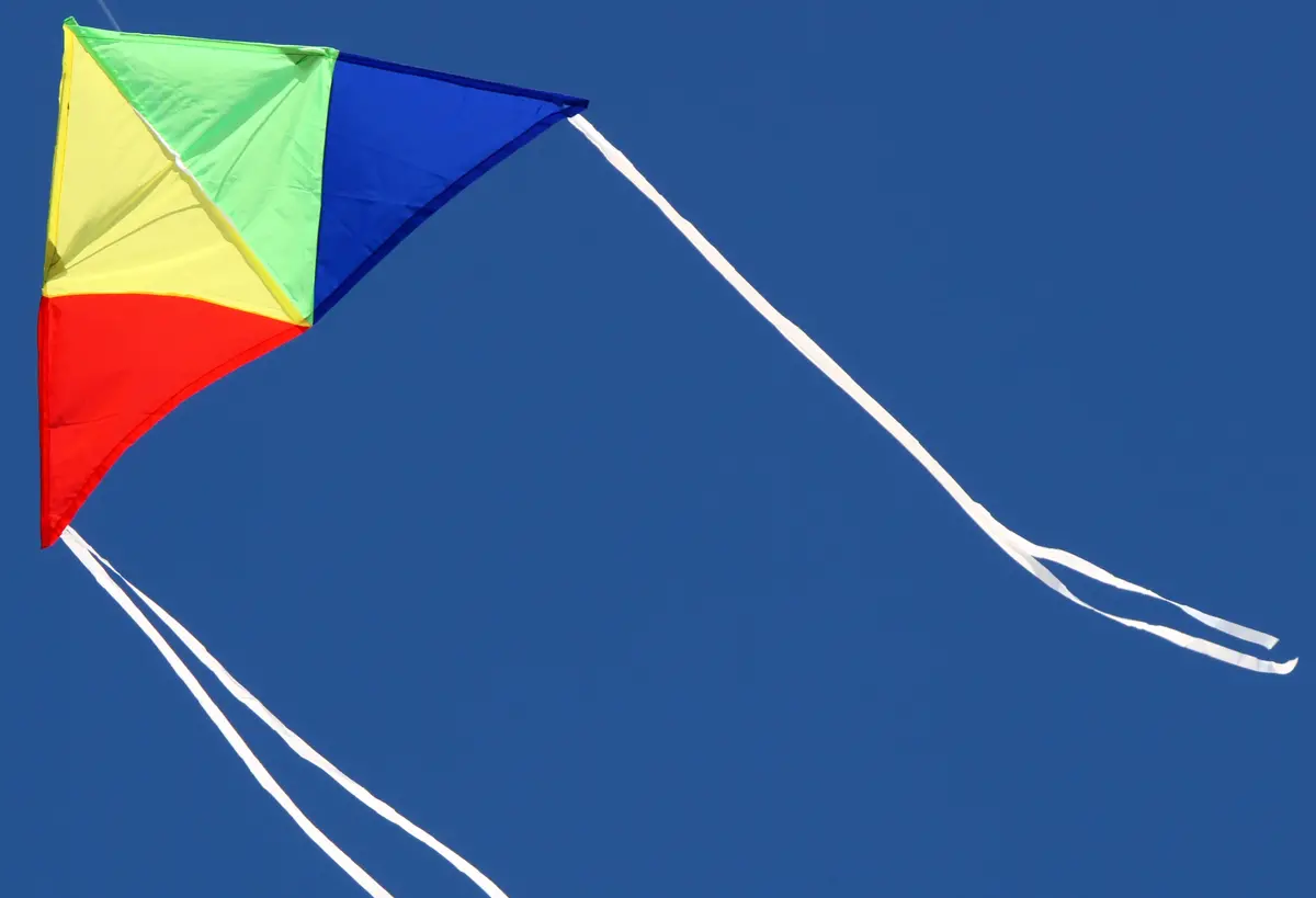 Windspeed Aussie Delta Single Line Kite - Ws220 1