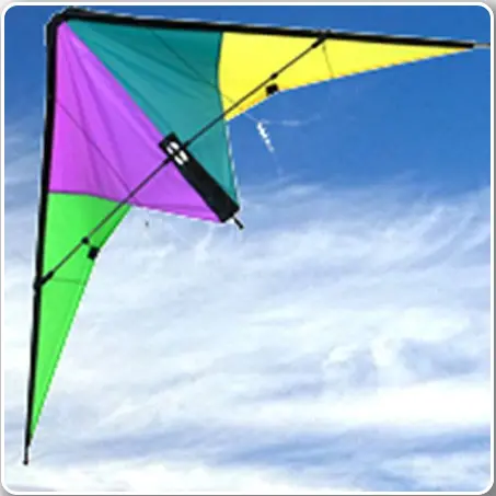 Windspeed Razorback Dual Control Stunt Kite - Ws610 1