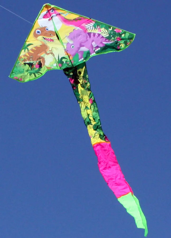 Windspeed Dinosaur Delta Single Line Kite - Ws834 1