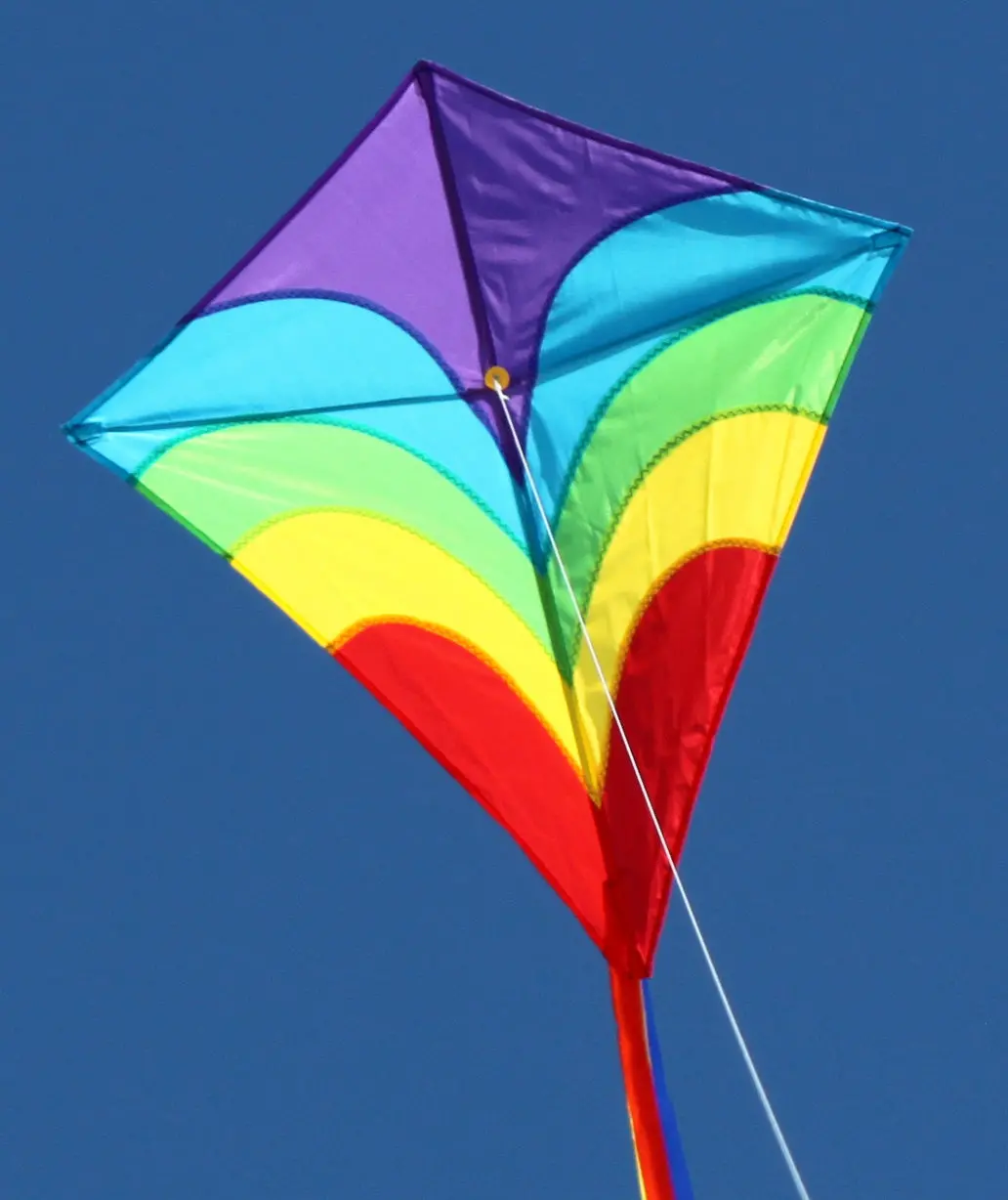 Windspeed Waves Diamond Single Line Kite - Ws887 1