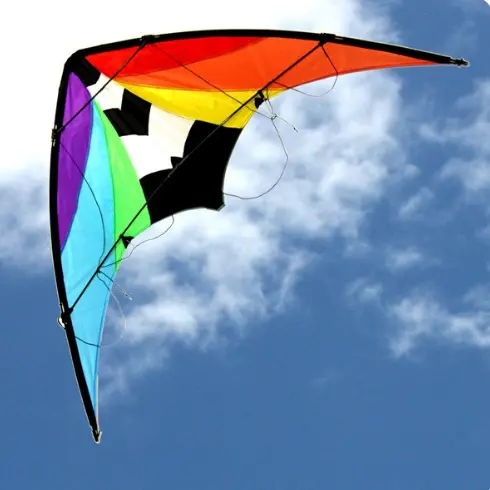 Windspeed Stuntmaster Sports Kite - Ws893 1