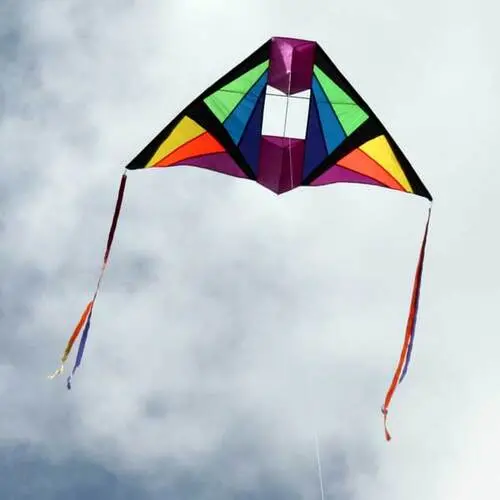 Windspeed Cell Delta Single Line Kite - Ws868 1