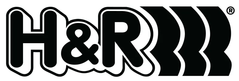 H&R 19Mm Tapered M 14 X 1.5 Lug Nut 2