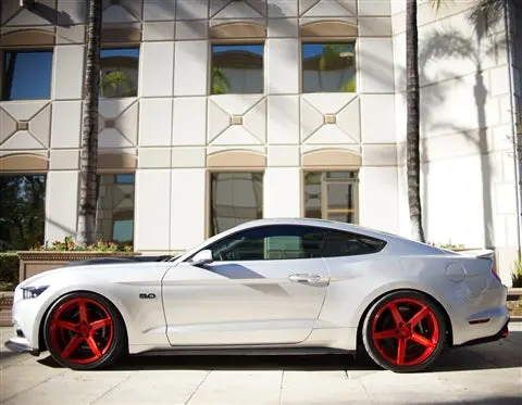 Rocker Panels Carbon Fiber (2015+ Mustang) 2